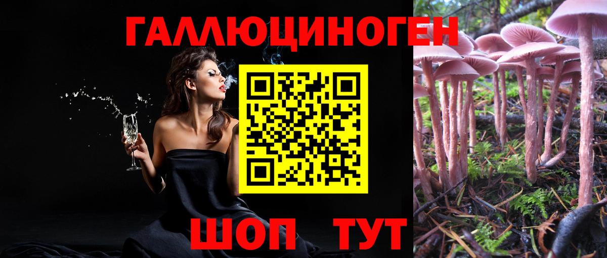 Семилуки  даркнет сайт  Вход с VPN  Галлюциногенные грибы мицелий 